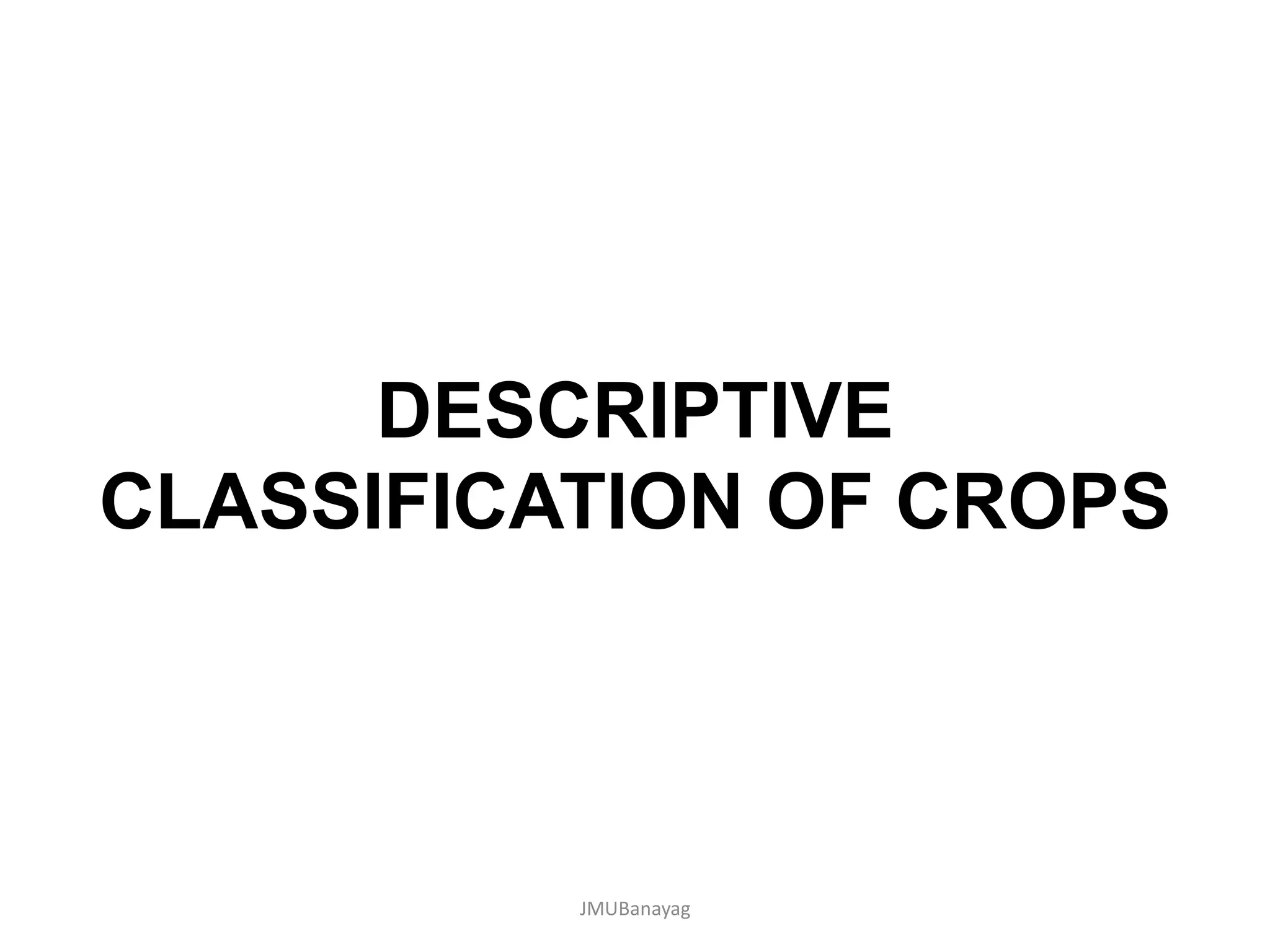 Classification of Agricultural Crops | PDF