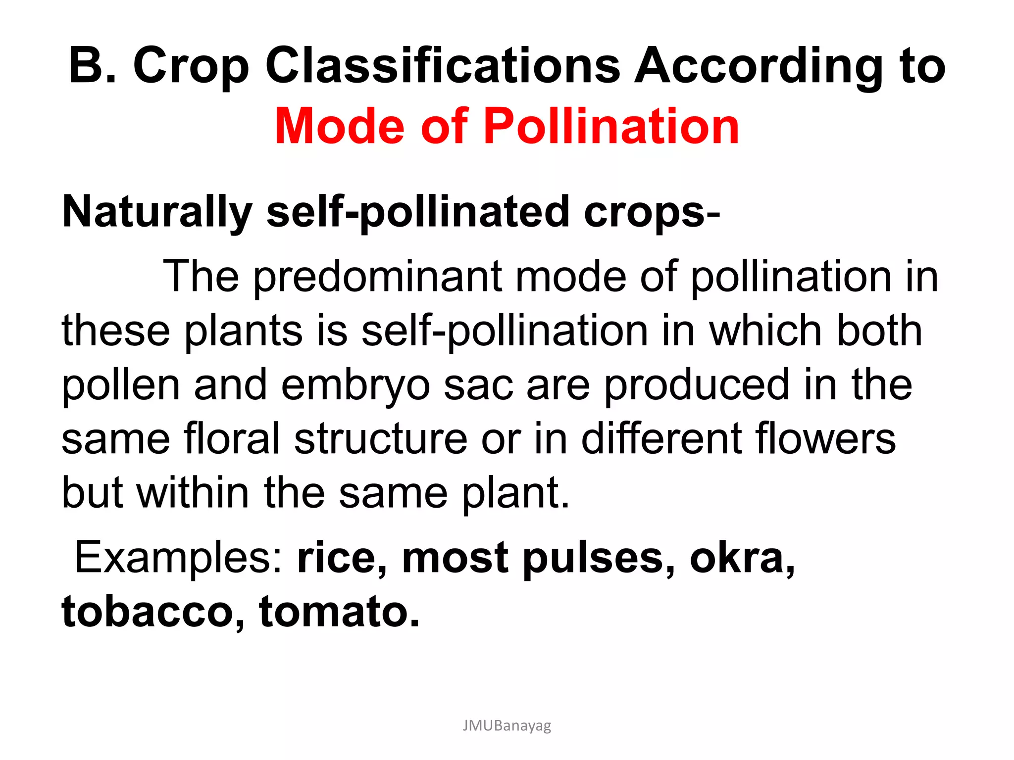 B. Crop Classifications According to
Mode of Pollination
Naturally self-pollinated crops-
The predominant mode of pollination in
these plants is self-pollination in which both
pollen and embryo sac are produced in the
same floral structure or in different flowers
but within the same plant.
Examples: rice, most pulses, okra,
tobacco, tomato.
JMUBanayag
 