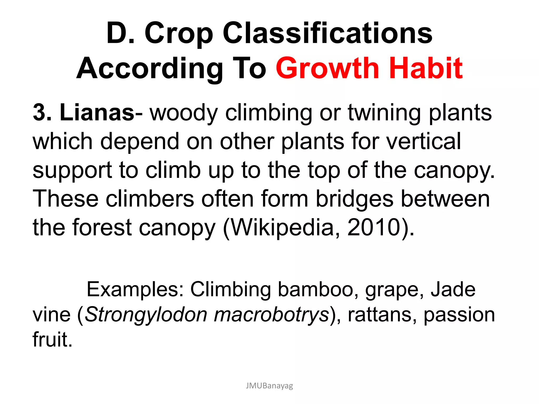 D. Crop Classifications
According To Growth Habit
3. Lianas- woody climbing or twining plants
which depend on other plants for vertical
support to climb up to the top of the canopy.
These climbers often form bridges between
the forest canopy (Wikipedia, 2010).
Examples: Climbing bamboo, grape, Jade
vine (Strongylodon macrobotrys), rattans, passion
fruit.
JMUBanayag
 