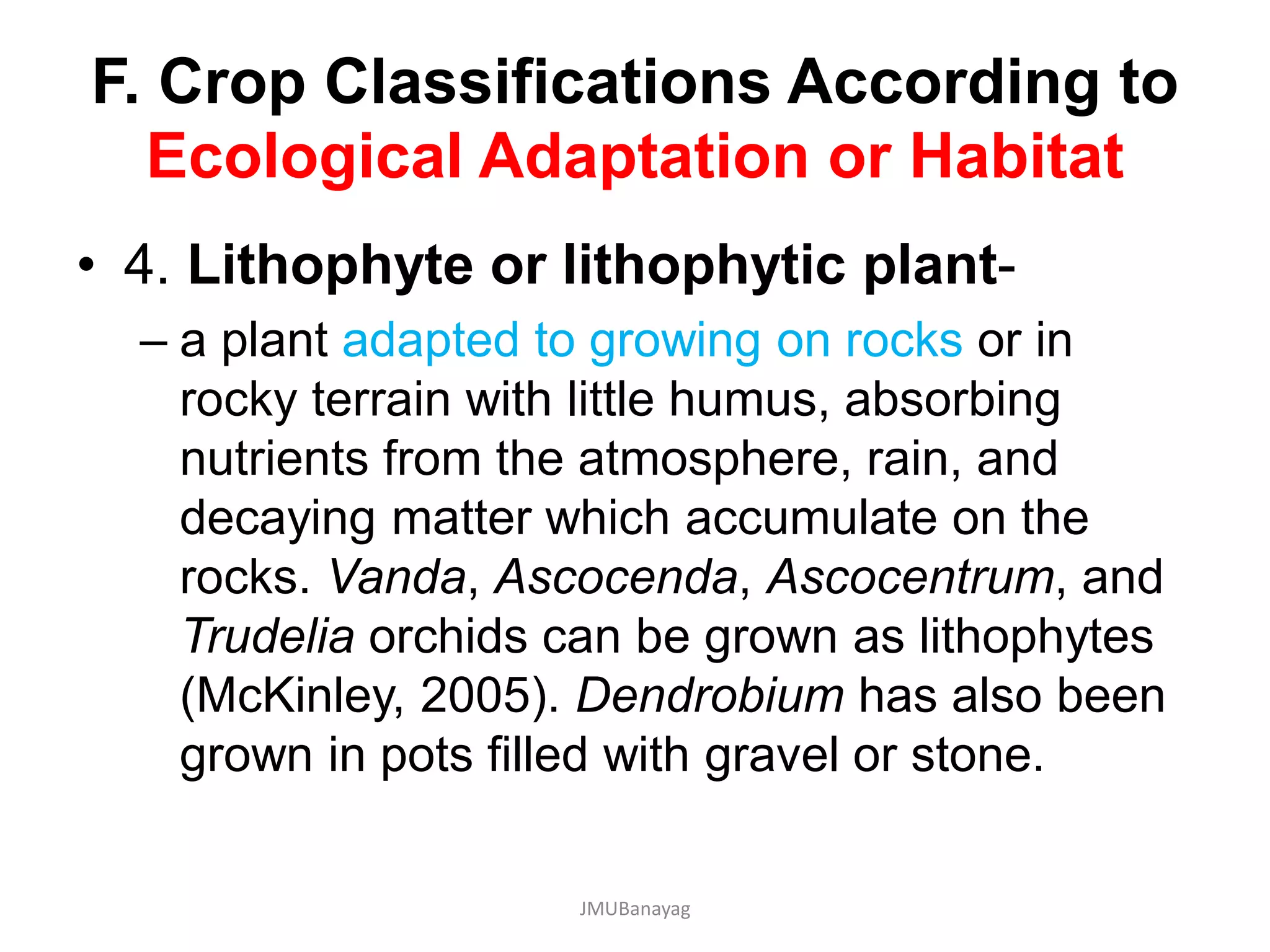 F. Crop Classifications According to
Ecological Adaptation or Habitat
• 4. Lithophyte or lithophytic plant-
– a plant adapted to growing on rocks or in
rocky terrain with little humus, absorbing
nutrients from the atmosphere, rain, and
decaying matter which accumulate on the
rocks. Vanda, Ascocenda, Ascocentrum, and
Trudelia orchids can be grown as lithophytes
(McKinley, 2005). Dendrobium has also been
grown in pots filled with gravel or stone.
JMUBanayag
 