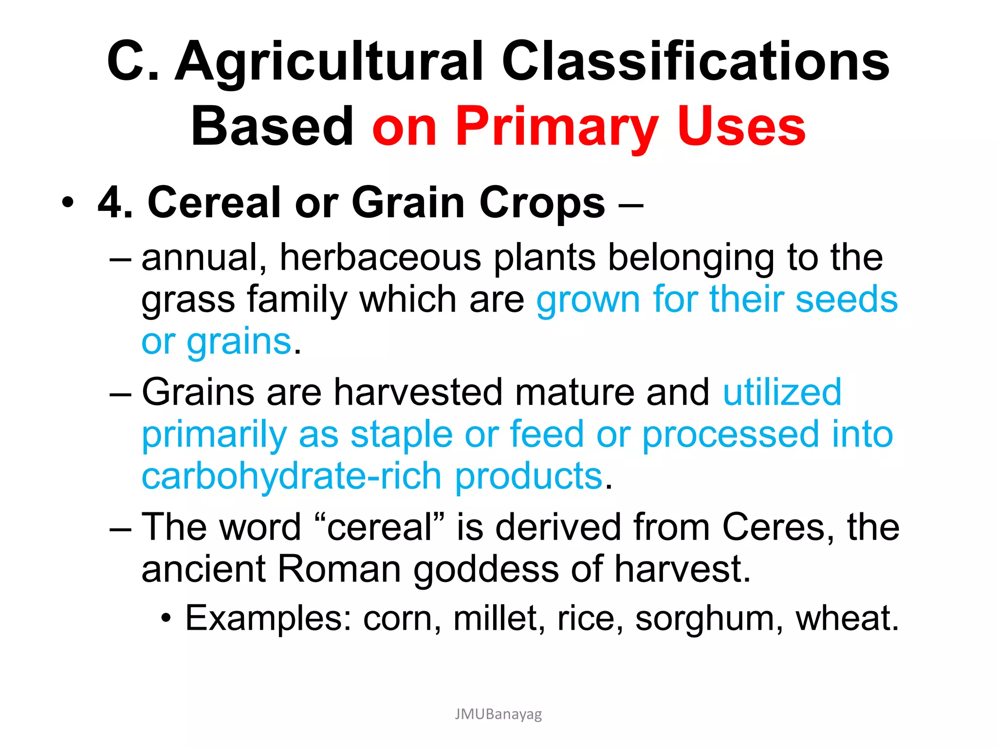 C. Agricultural Classifications
Based on Primary Uses
• 4. Cereal or Grain Crops –
– annual, herbaceous plants belonging to the
grass family which are grown for their seeds
or grains.
– Grains are harvested mature and utilized
primarily as staple or feed or processed into
carbohydrate-rich products.
– The word “cereal” is derived from Ceres, the
ancient Roman goddess of harvest.
• Examples: corn, millet, rice, sorghum, wheat.
JMUBanayag
 