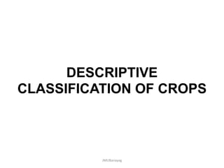 DESCRIPTIVE
CLASSIFICATION OF CROPS
JMUBanayag
 