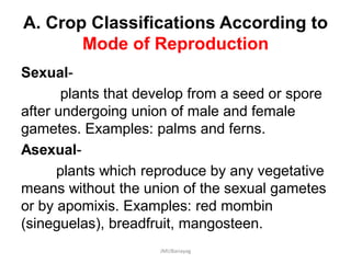 A. Crop Classifications According to
Mode of Reproduction
Sexual-
plants that develop from a seed or spore
after undergoing union of male and female
gametes. Examples: palms and ferns.
Asexual-
plants which reproduce by any vegetative
means without the union of the sexual gametes
or by apomixis. Examples: red mombin
(sineguelas), breadfruit, mangosteen.
JMUBanayag
 