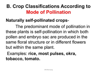B. Crop Classifications According to
Mode of Pollination
Naturally self-pollinated crops-
The predominant mode of pollination in
these plants is self-pollination in which both
pollen and embryo sac are produced in the
same floral structure or in different flowers
but within the same plant.
Examples: rice, most pulses, okra,
tobacco, tomato.
JMUBanayag
 
