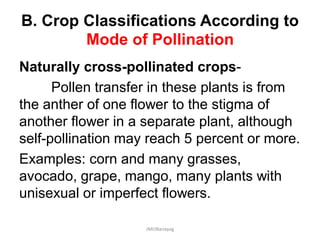 B. Crop Classifications According to
Mode of Pollination
Naturally cross-pollinated crops-
Pollen transfer in these plants is from
the anther of one flower to the stigma of
another flower in a separate plant, although
self-pollination may reach 5 percent or more.
Examples: corn and many grasses,
avocado, grape, mango, many plants with
unisexual or imperfect flowers.
JMUBanayag
 