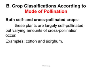 B. Crop Classifications According to
Mode of Pollination
Both self- and cross-pollinated crops-
these plants are largely self-pollinated
but varying amounts of cross-pollination
occur.
Examples: cotton and sorghum.
JMUBanayag
 