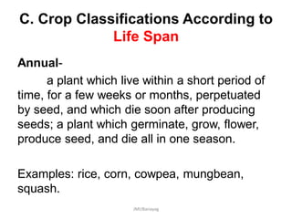 C. Crop Classifications According to
Life Span
Annual-
a plant which live within a short period of
time, for a few weeks or months, perpetuated
by seed, and which die soon after producing
seeds; a plant which germinate, grow, flower,
produce seed, and die all in one season.
Examples: rice, corn, cowpea, mungbean,
squash.
JMUBanayag
 