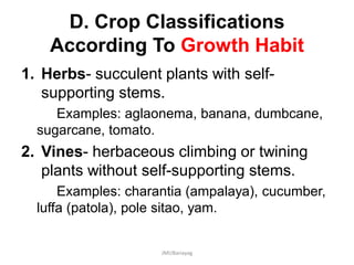 D. Crop Classifications
According To Growth Habit
1. Herbs- succulent plants with self-
supporting stems.
Examples: aglaonema, banana, dumbcane,
sugarcane, tomato.
2. Vines- herbaceous climbing or twining
plants without self-supporting stems.
Examples: charantia (ampalaya), cucumber,
luffa (patola), pole sitao, yam.
JMUBanayag
 