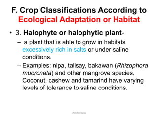 F. Crop Classifications According to
Ecological Adaptation or Habitat
• 3. Halophyte or halophytic plant-
– a plant that is able to grow in habitats
excessively rich in salts or under saline
conditions.
– Examples: nipa, talisay, bakawan (Rhizophora
mucronata) and other mangrove species.
Coconut, cashew and tamarind have varying
levels of tolerance to saline conditions.
JMUBanayag
 