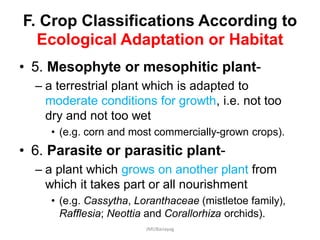 F. Crop Classifications According to
Ecological Adaptation or Habitat
• 5. Mesophyte or mesophitic plant-
– a terrestrial plant which is adapted to
moderate conditions for growth, i.e. not too
dry and not too wet
• (e.g. corn and most commercially-grown crops).
• 6. Parasite or parasitic plant-
– a plant which grows on another plant from
which it takes part or all nourishment
• (e.g. Cassytha, Loranthaceae (mistletoe family),
Rafflesia; Neottia and Corallorhiza orchids).
JMUBanayag
 
