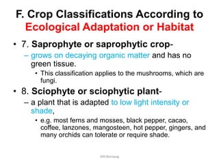 F. Crop Classifications According to
Ecological Adaptation or Habitat
• 7. Saprophyte or saprophytic crop-
– grows on decaying organic matter and has no
green tissue.
• This classification applies to the mushrooms, which are
fungi.
• 8. Sciophyte or sciophytic plant-
– a plant that is adapted to low light intensity or
shade,
• e.g. most ferns and mosses, black pepper, cacao,
coffee, lanzones, mangosteen, hot pepper, gingers, and
many orchids can tolerate or require shade.
JMUBanayag
 
