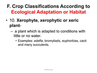 F. Crop Classifications According to
Ecological Adaptation or Habitat
• 10. Xerophyte, xerophytic or xeric
plant-
– a plant which is adapted to conditions with
little or no water.
• Examples: adelfa, bromyliads, euphorbias, cacti
and many succulents.
JMUBanayag
 