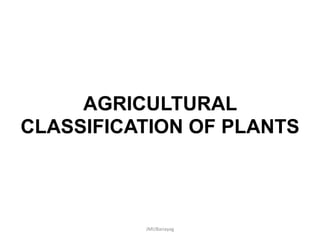 AGRICULTURAL
CLASSIFICATION OF PLANTS
JMUBanayag
 