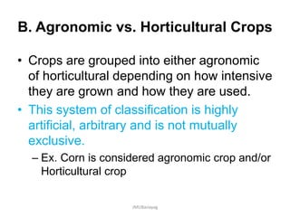B. Agronomic vs. Horticultural Crops
• Crops are grouped into either agronomic
of horticultural depending on how intensive
they are grown and how they are used.
• This system of classification is highly
artificial, arbitrary and is not mutually
exclusive.
– Ex. Corn is considered agronomic crop and/or
Horticultural crop
JMUBanayag
 