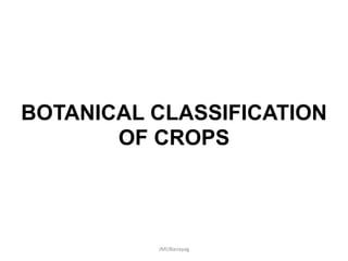 BOTANICAL CLASSIFICATION
OF CROPS
JMUBanayag
 