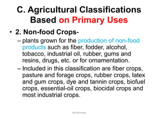 C. Agricultural Classifications
Based on Primary Uses
• 2. Non-food Crops-
– plants grown for the production of non-food
products such as fiber, fodder, alcohol,
tobacco, industrial oil, rubber, gums and
resins, drugs, etc. or for ornamentation.
– Included in this classification are fiber crops,
pasture and forage crops, rubber crops, latex
and gum crops, dye and tannin crops, biofuel
crops, essential-oil crops, biocidal crops and
most industrial crops.
JMUBanayag
 