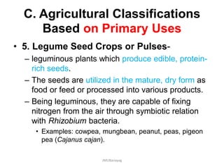 C. Agricultural Classifications
Based on Primary Uses
• 5. Legume Seed Crops or Pulses-
– leguminous plants which produce edible, protein-
rich seeds.
– The seeds are utilized in the mature, dry form as
food or feed or processed into various products.
– Being leguminous, they are capable of fixing
nitrogen from the air through symbiotic relation
with Rhizobium bacteria.
• Examples: cowpea, mungbean, peanut, peas, pigeon
pea (Cajanus cajan).
JMUBanayag
 