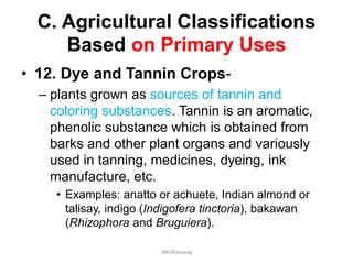 C. Agricultural Classifications
Based on Primary Uses
• 12. Dye and Tannin Crops-
– plants grown as sources of tannin and
coloring substances. Tannin is an aromatic,
phenolic substance which is obtained from
barks and other plant organs and variously
used in tanning, medicines, dyeing, ink
manufacture, etc.
• Examples: anatto or achuete, Indian almond or
talisay, indigo (Indigofera tinctoria), bakawan
(Rhizophora and Bruguiera).
JMUBanayag
 