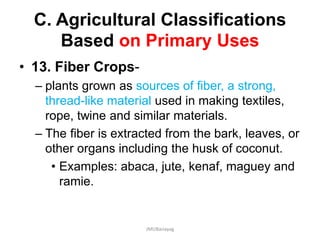 C. Agricultural Classifications
Based on Primary Uses
• 13. Fiber Crops-
– plants grown as sources of fiber, a strong,
thread-like material used in making textiles,
rope, twine and similar materials.
– The fiber is extracted from the bark, leaves, or
other organs including the husk of coconut.
• Examples: abaca, jute, kenaf, maguey and
ramie.
JMUBanayag
 