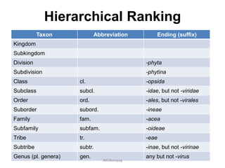Hierarchical Ranking
Taxon Abbreviation Ending (suffix)
Kingdom
Subkingdom
Division -phyta
Subdivision -phytina
Class cl. -opsida
Subclass subcl. -idae, but not -viridae
Order ord. -ales, but not -virales
Suborder subord. -ineae
Family fam. -acea
Subfamily subfam. -oideae
Tribe tr. -eae
Subtribe subtr. -inae, but not -virinae
Genus (pl. genera) gen. any but not -virus
JMUBanayag
 