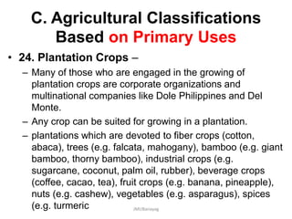 C. Agricultural Classifications
Based on Primary Uses
• 24. Plantation Crops –
– Many of those who are engaged in the growing of
plantation crops are corporate organizations and
multinational companies like Dole Philippines and Del
Monte.
– Any crop can be suited for growing in a plantation.
– plantations which are devoted to fiber crops (cotton,
abaca), trees (e.g. falcata, mahogany), bamboo (e.g. giant
bamboo, thorny bamboo), industrial crops (e.g.
sugarcane, coconut, palm oil, rubber), beverage crops
(coffee, cacao, tea), fruit crops (e.g. banana, pineapple),
nuts (e.g. cashew), vegetables (e.g. asparagus), spices
(e.g. turmeric JMUBanayag
 