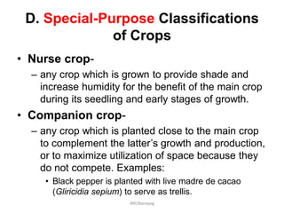 D. Special-Purpose Classifications
of Crops
• Nurse crop-
– any crop which is grown to provide shade and
increase humidity for the benefit of the main crop
during its seedling and early stages of growth.
• Companion crop-
– any crop which is planted close to the main crop
to complement the latter’s growth and production,
or to maximize utilization of space because they
do not compete. Examples:
• Black pepper is planted with live madre de cacao
(Gliricidia sepium) to serve as trellis.
JMUBanayag
 