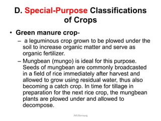 D. Special-Purpose Classifications
of Crops
• Green manure crop-
– a leguminous crop grown to be plowed under the
soil to increase organic matter and serve as
organic fertilizer.
– Mungbean (mungo) is ideal for this purpose.
Seeds of mungbean are commonly broadcasted
in a field of rice immediately after harvest and
allowed to grow using residual water, thus also
becoming a catch crop. In time for tillage in
preparation for the next rice crop, the mungbean
plants are plowed under and allowed to
decompose.
JMUBanayag
 
