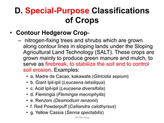 D. Special-Purpose Classifications
of Crops
• Contour Hedgerow Crop-
– nitrogen-fixing trees and shrubs which are grown
along contour lines in sloping lands under the Sloping
Agricultural Land Technology (SALT). These crops are
grown mainly to produce green manure and mulch, to
serve as firebreak, to stabilize the soil and to control
soil erosion. Examples:
• a. Madre de Cacao, kakawate (Gliricidia sepium)
• b. Giant Ipil-ipil (Leucaena latisiliqua)
• c. Acid Ipil-ipil (Leucaena diversifolia)
• d. Flemingia (Flemingia macrophylla)
• e. Renzoni (Desmodium renzonii)
• f. Red Powderpuff (Calliandra calothyrsus)
• g. Yellow Cassia (Senna spectabilis)
JMUBanayag
 