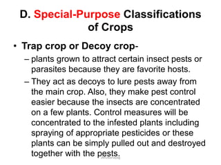 D. Special-Purpose Classifications
of Crops
• Trap crop or Decoy crop-
– plants grown to attract certain insect pests or
parasites because they are favorite hosts.
– They act as decoys to lure pests away from
the main crop. Also, they make pest control
easier because the insects are concentrated
on a few plants. Control measures will be
concentrated to the infested plants including
spraying of appropriate pesticides or these
plants can be simply pulled out and destroyed
together with the pests.JMUBanayag
 