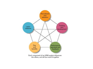 Components of a Human Resource Management
System
 