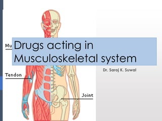 Drugs acting in
Musculoskeletal system
Dr. Saroj K. Suwal
 