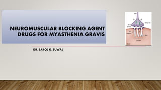 NEUROMUSCULAR BLOCKING AGENT
DRUGS FOR MYASTHENIA GRAVIS
DR. SAROJ K. SUWAL
 