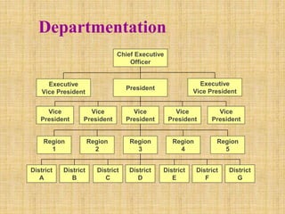 Departmentation
District
A
District
B
District
C
District
D
District
E
District
F
District
G
Region
1
Region
2
Region
3
Region
4
Region
5
Vice
President
Vice
President
Vice
President
Vice
President
Vice
President
Chief Executive
Officer
Executive
Vice President
Executive
Vice President
President
 