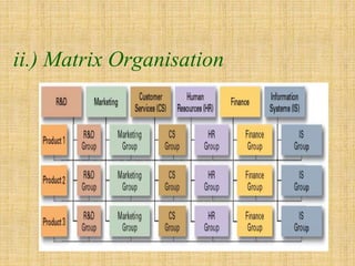 ii.) Matrix Organisation
 