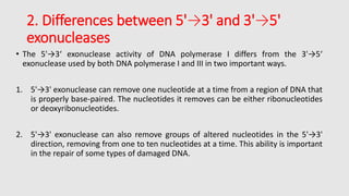 4. removal of primers and ligation in prokaryotic dna replication | PPTX