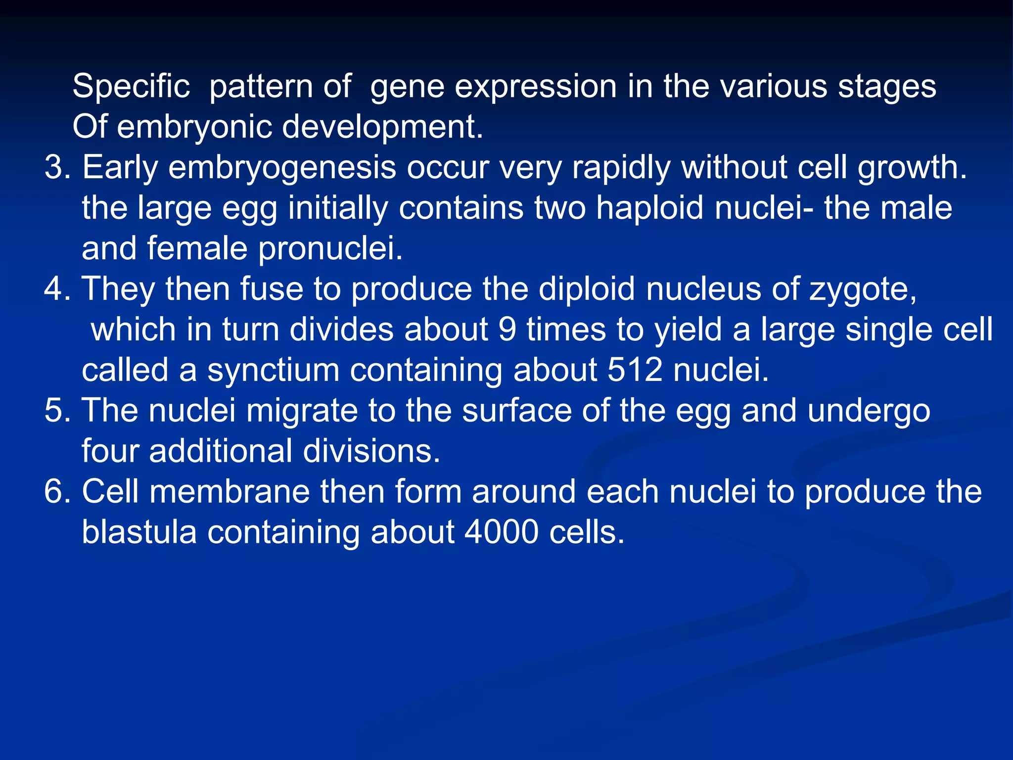 Development of drosophila | PPT