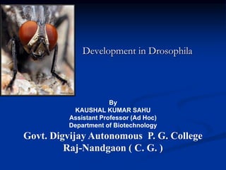 Development of drosophila | PPT