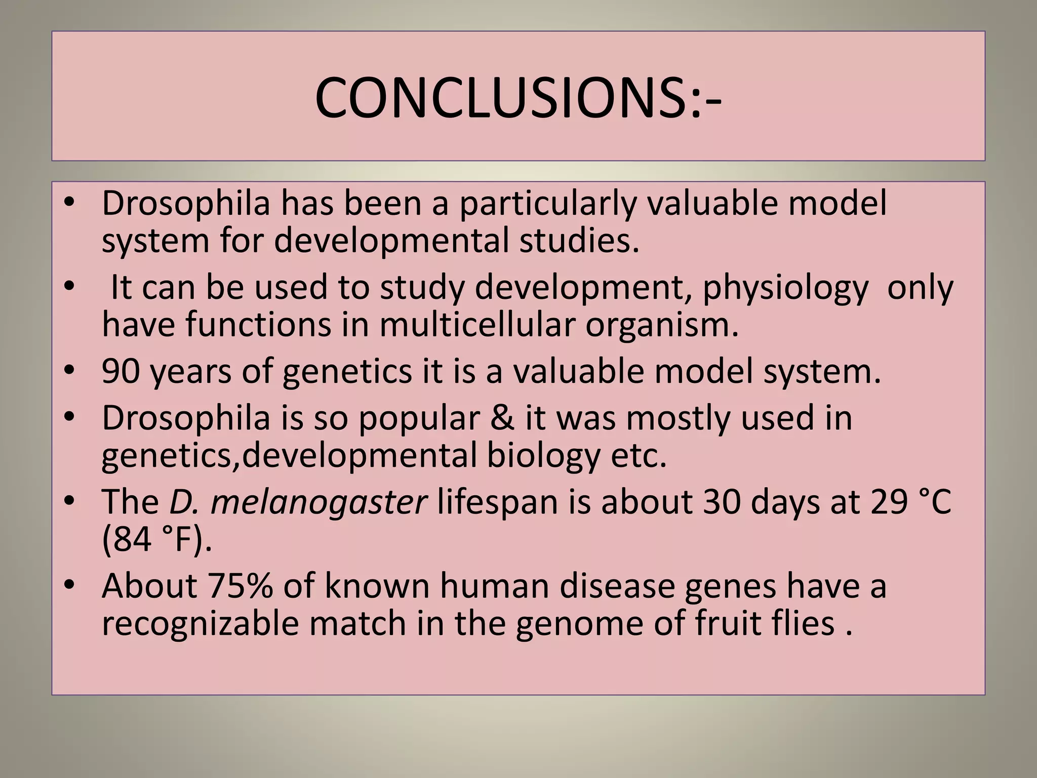 Development in drosophila | PPTX