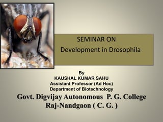 SEMINAR ON
Development in Drosophila
By
KAUSHAL KUMAR SAHU
Assistant Professor (Ad Hoc)
Department of Biotechnology
Govt. Digvijay Autonomous P. G. College
Raj-Nandgaon ( C. G. )
 