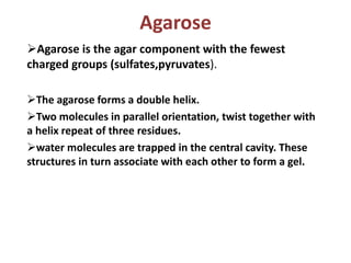 Agarose
Agarose is the agar component with the fewest
charged groups (sulfates,pyruvates).
The agarose forms a double helix.
Two molecules in parallel orientation, twist together with
a helix repeat of three residues.
water molecules are trapped in the central cavity. These
structures in turn associate with each other to form a gel.
 
