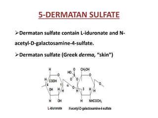 5-DERMATAN SULFATE
Dermatan sulfate contain L-iduronate and N-
acetyl-D-galactosamine-4-sulfate.
Dermatan sulfate (Greek derma, “skin”)
 