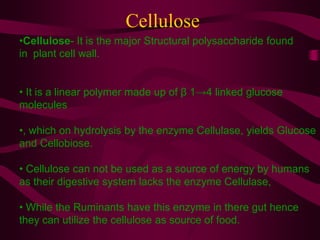 Cellulose
•Cellulose- It is the major Structural polysaccharide found
in plant cell wall.
• It is a linear polymer made up of β 1→4 linked glucose
molecules
•, which on hydrolysis by the enzyme Cellulase, yields Glucose
and Cellobiose.
• Cellulose can not be used as a source of energy by humans
as their digestive system lacks the enzyme Cellulase,
• While the Ruminants have this enzyme in there gut hence
they can utilize the cellulose as source of food.
 