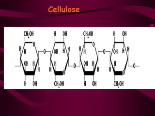 Cellulose
•
 