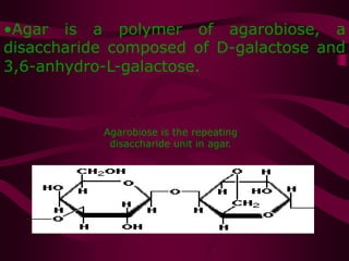 •Agar is a polymer of agarobiose, a
disaccharide composed of D-galactose and
3,6-anhydro-L-galactose.
•
Agarobiose is the repeating
disaccharide unit in agar.
 