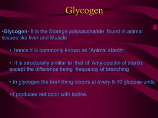 Glycogen
•Glycogen- It is the Storage polysaccharide found in animal
tissues like liver and Muscle
•, hence it is commonly known as "Animal starch“
•. It is structurally similar to that of Amylopectin of starch,
except the difference being frequency of branching
•,In glycogen the branching occurs at every 8-10 glucose units.
•It produces red color with Iodine.
 