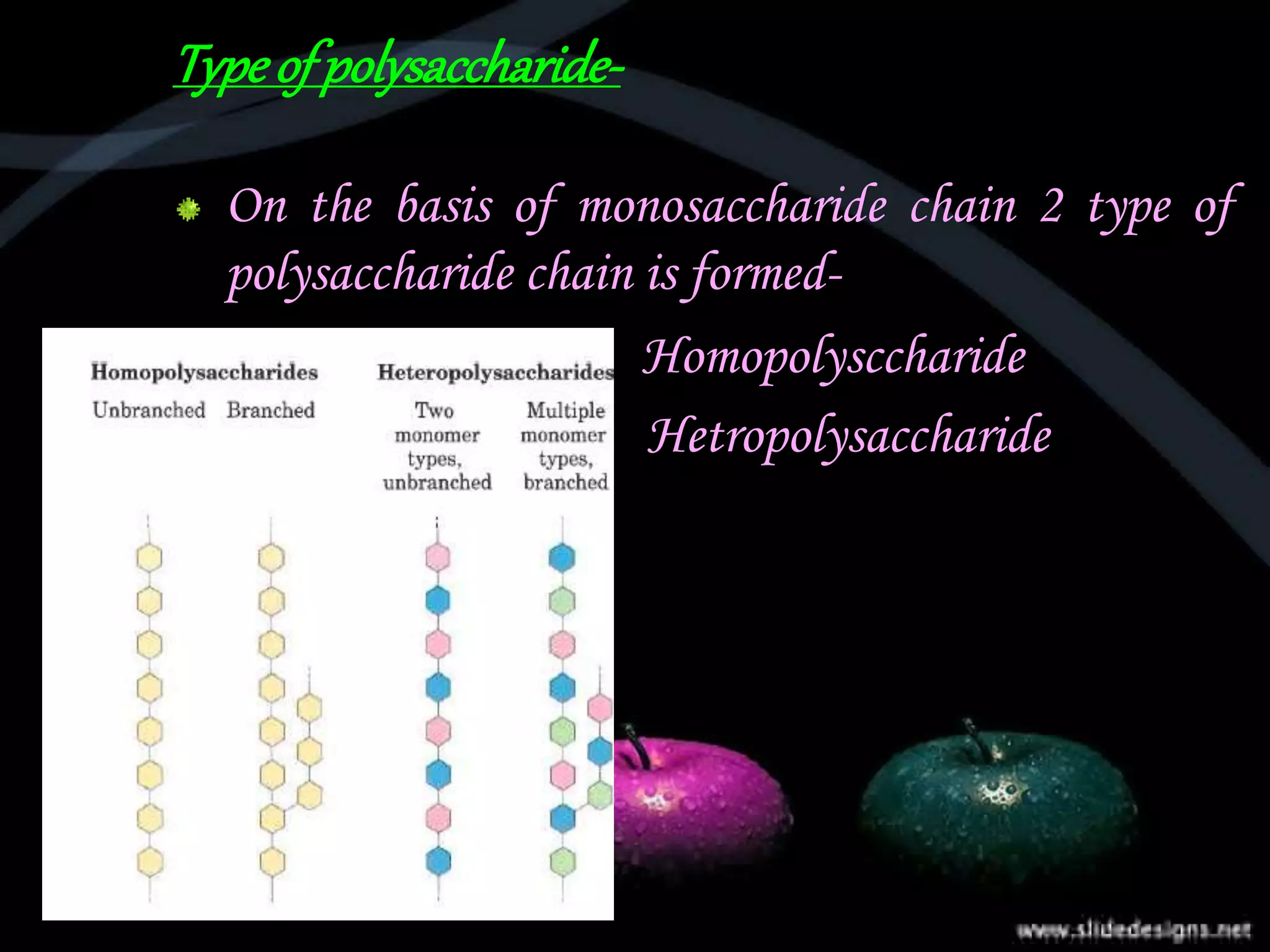 Typeofpolysaccharide-
On the basis of monosaccharide chain 2 type of
polysaccharide chain is formed-
 Homopolysccharide
Hetropolysaccharide
 