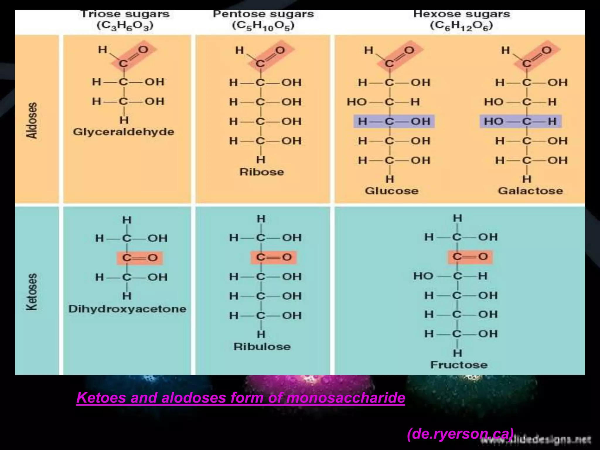 Ketoes and alodoses form of monosaccharide
(de.ryerson.ca)
 