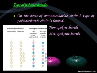 Typeofpolysaccharide-
On the basis of monosaccharide chain 2 type of
polysaccharide chain is formed-
 Homopolysccharide
Hetropolysaccharide
 