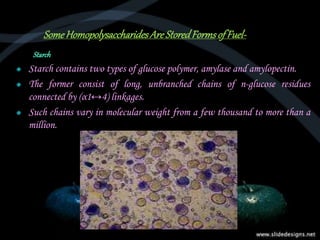 SomeHomopolysaccharidesAreStoredFormsof Fuel-
Starch
Starch contains two types of glucose polymer, amylase and amylopectin.
The former consist of long, unbranched chains of n-glucose residues
connected by (α1↔4) linkages.
Such chains vary in molecular weight from a few thousand to more than a
million.
 
