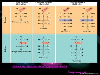 Ketoes and alodoses form of monosaccharide
(de.ryerson.ca)
 